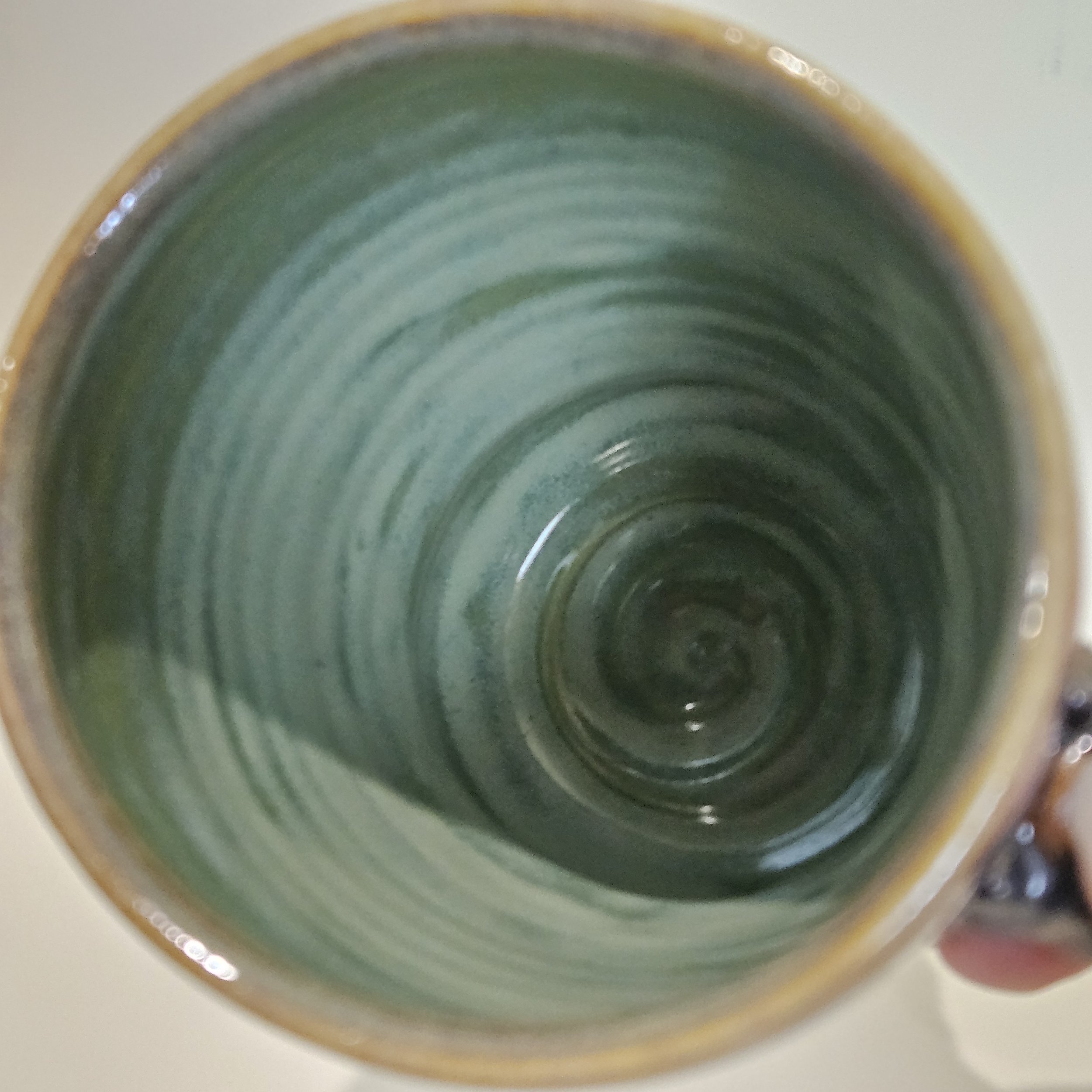20260518_115852.jpg