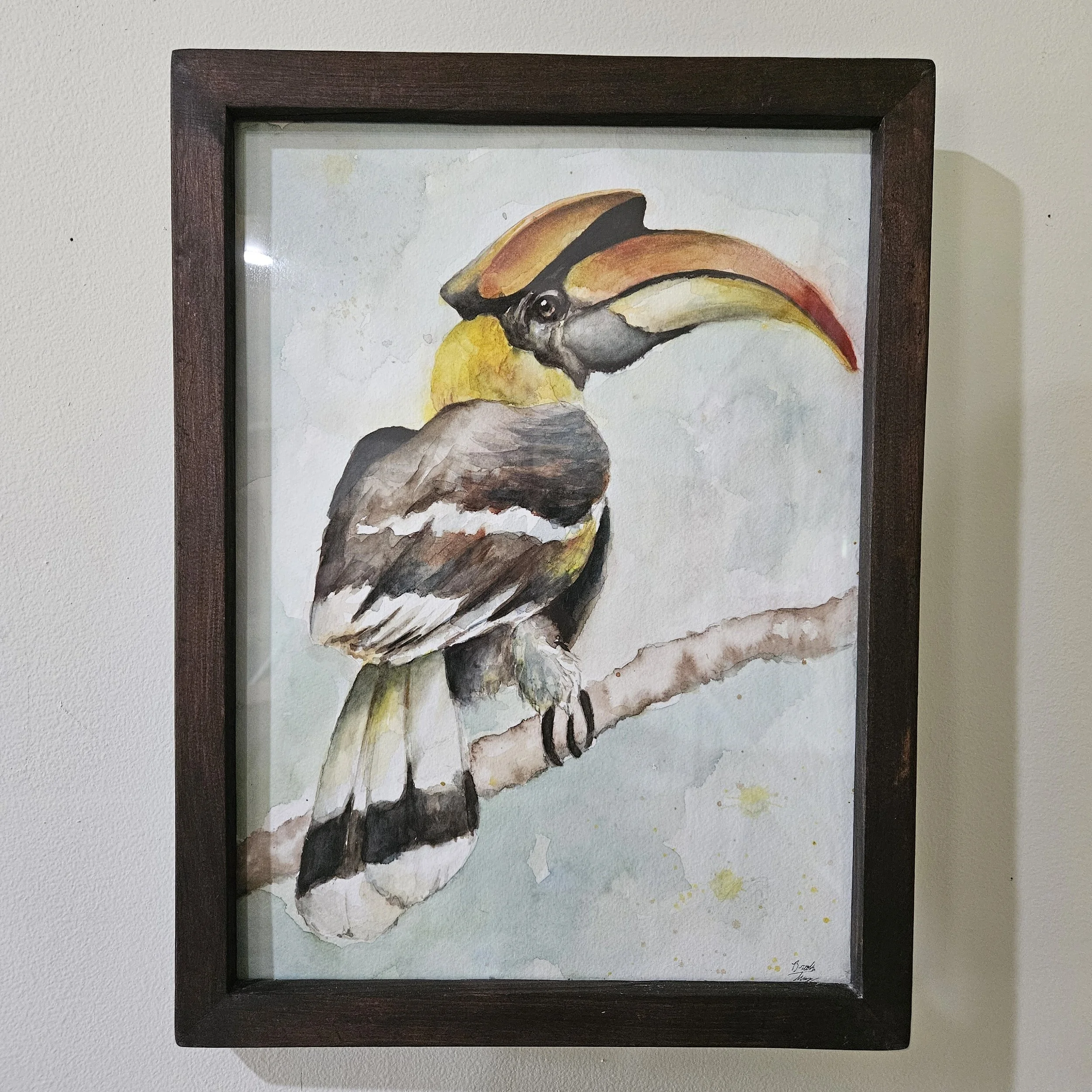 Hornbill watercolor painting
