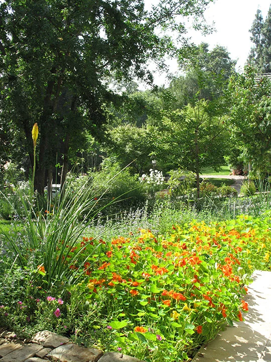 San Marino Residence — benner landscape design