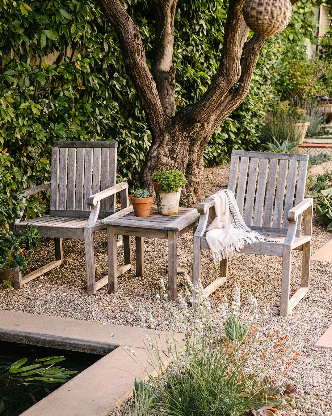 brentwood outdoor living brentwood ca on Brentwood Lawn Less Garden Benner Landscape Design