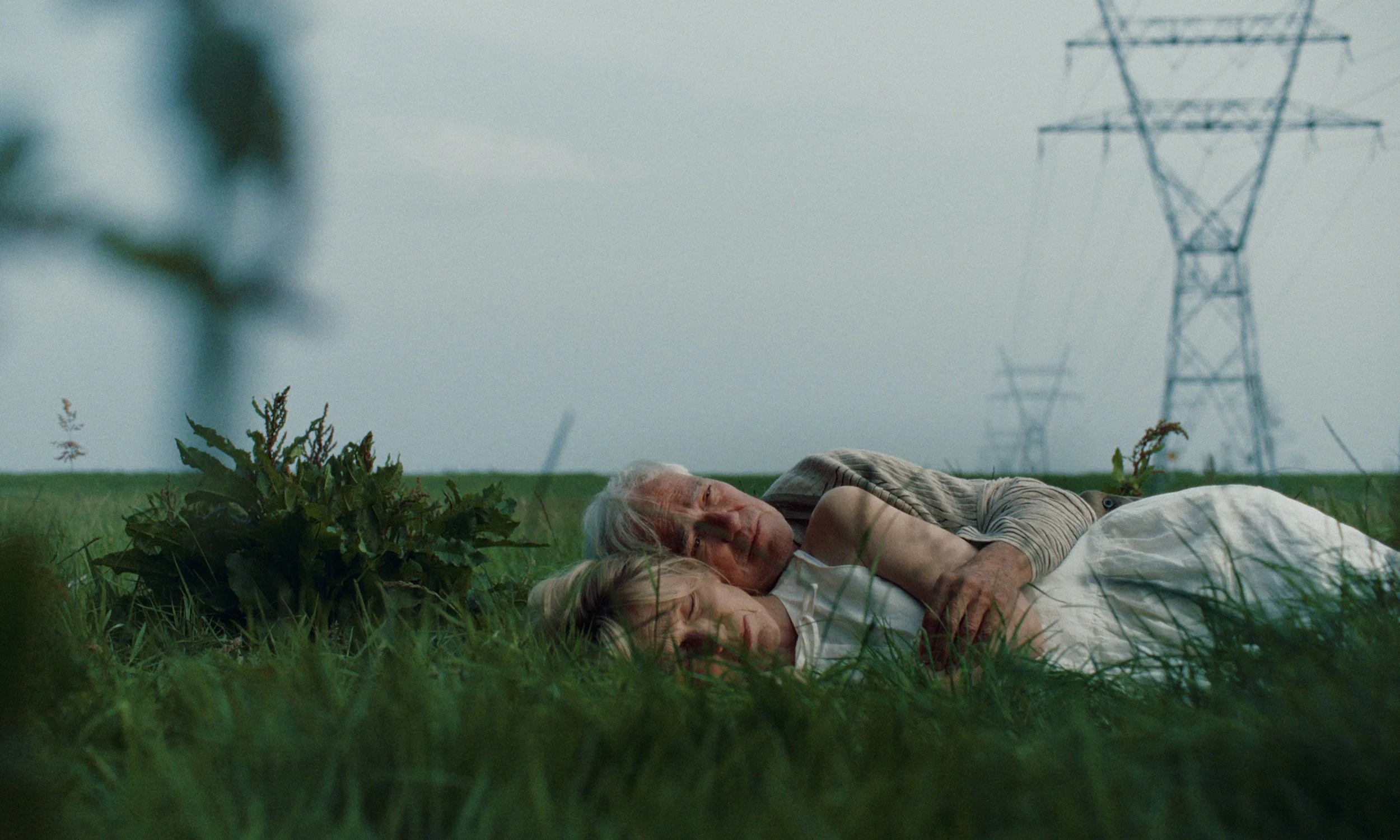 An elderly man and a young girl lying on the grass under a cloudy sky, with power lines in the background.
