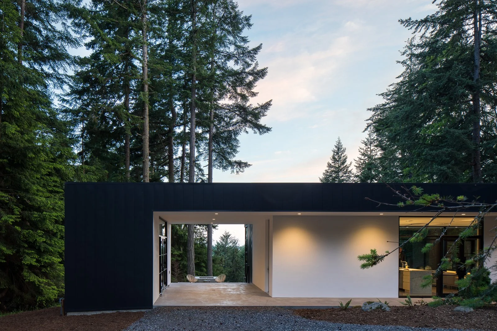 black house in forest.jpg