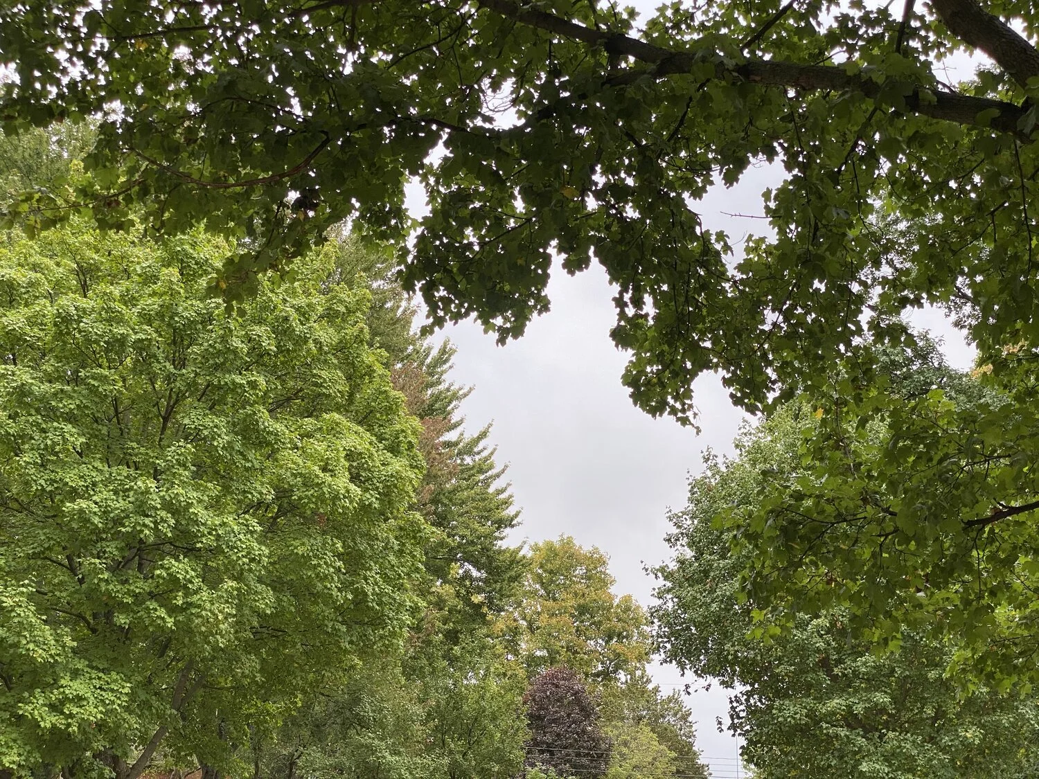 This September Morning