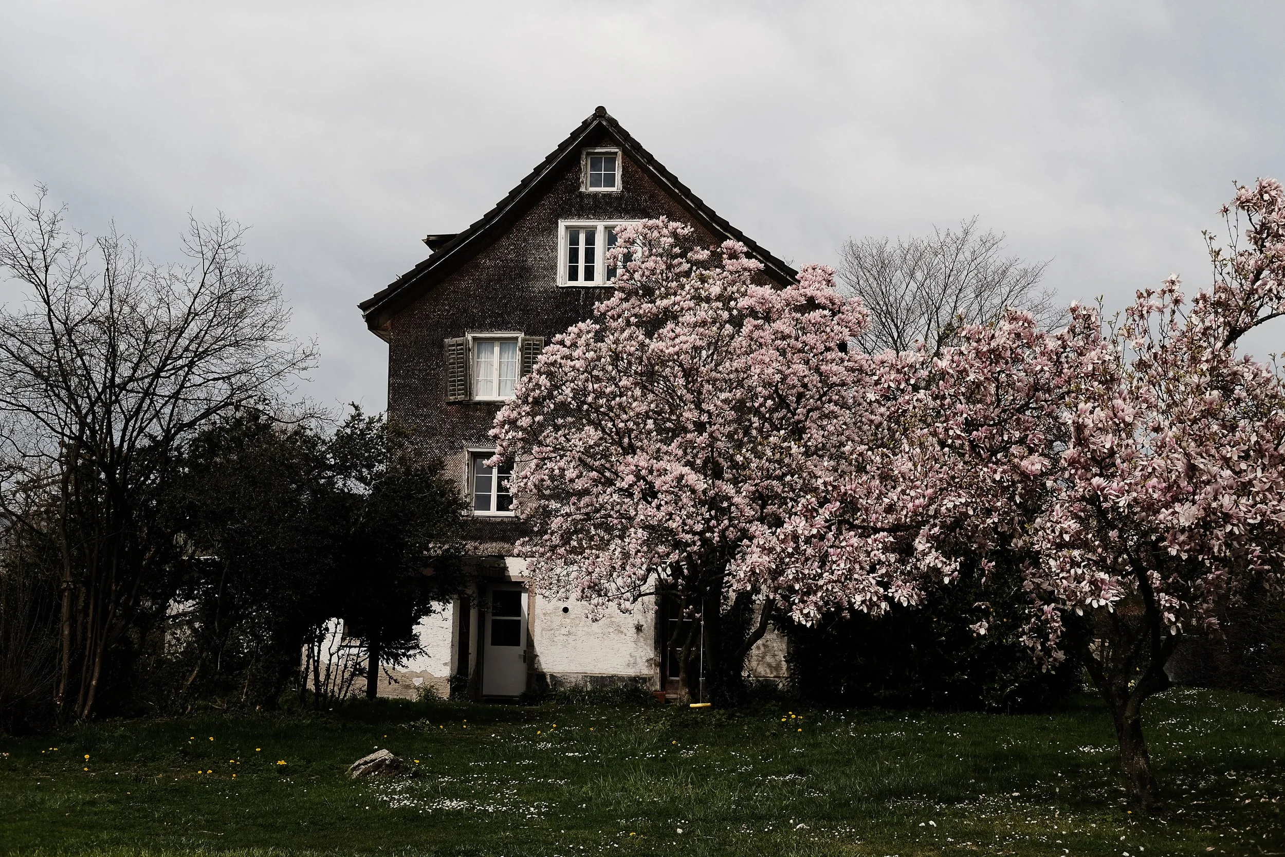 AK - Zurich District 2 Neighbourhood-3767.jpg