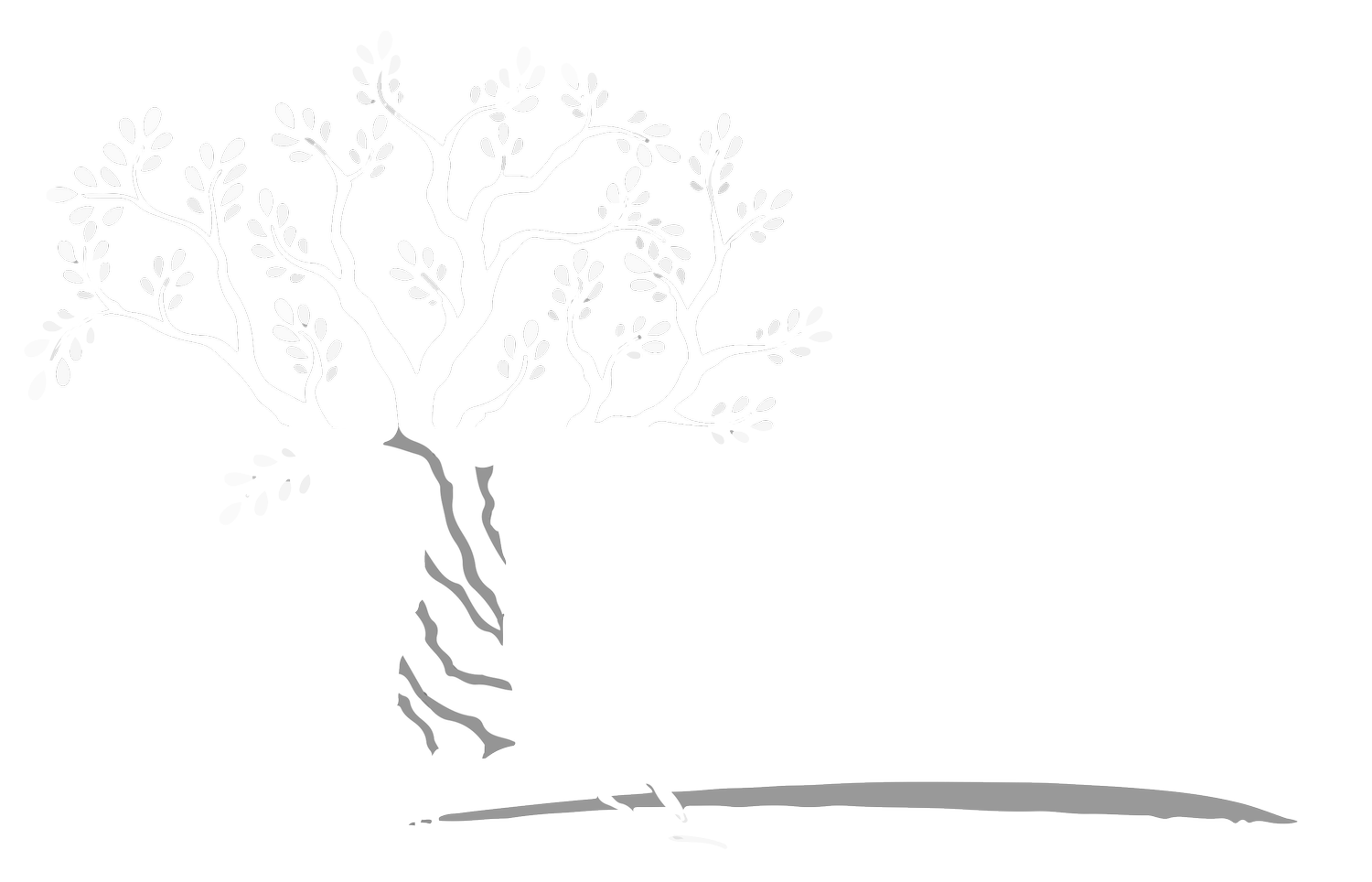 Olivewood Academy
