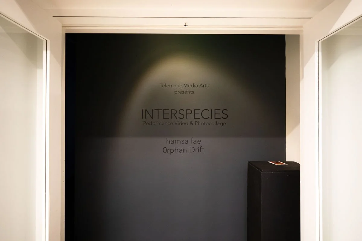 INTERSPECIES LOW RES 01 ENTRANCE.jpg