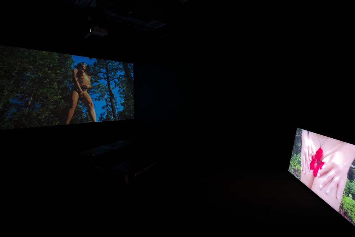 INTERSPECIES LOW RES 04 HAMSA FULL.jpg