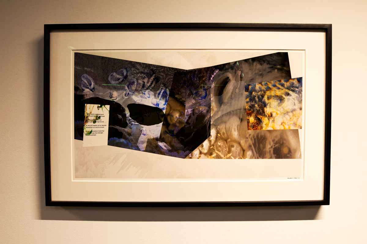 INTERSPECIES LOW RES 07 ORPHAN WHITE.jpg