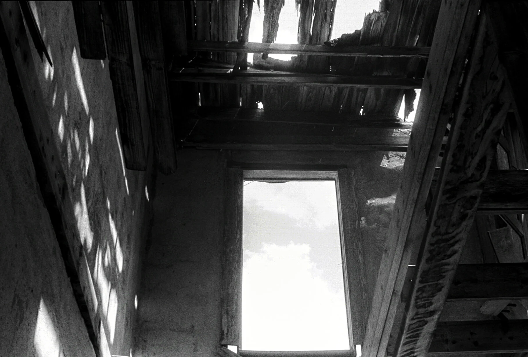 0002141_0002141-R1-E009.jpg