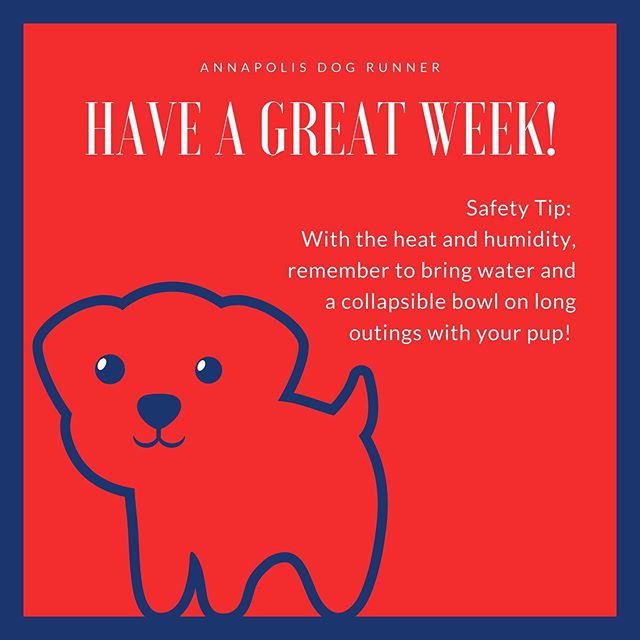 There are a good number of easy to carry options available, reach out and I&rsquo;ll point you in the direction of a few of my favorites. #annapolisdogrunner