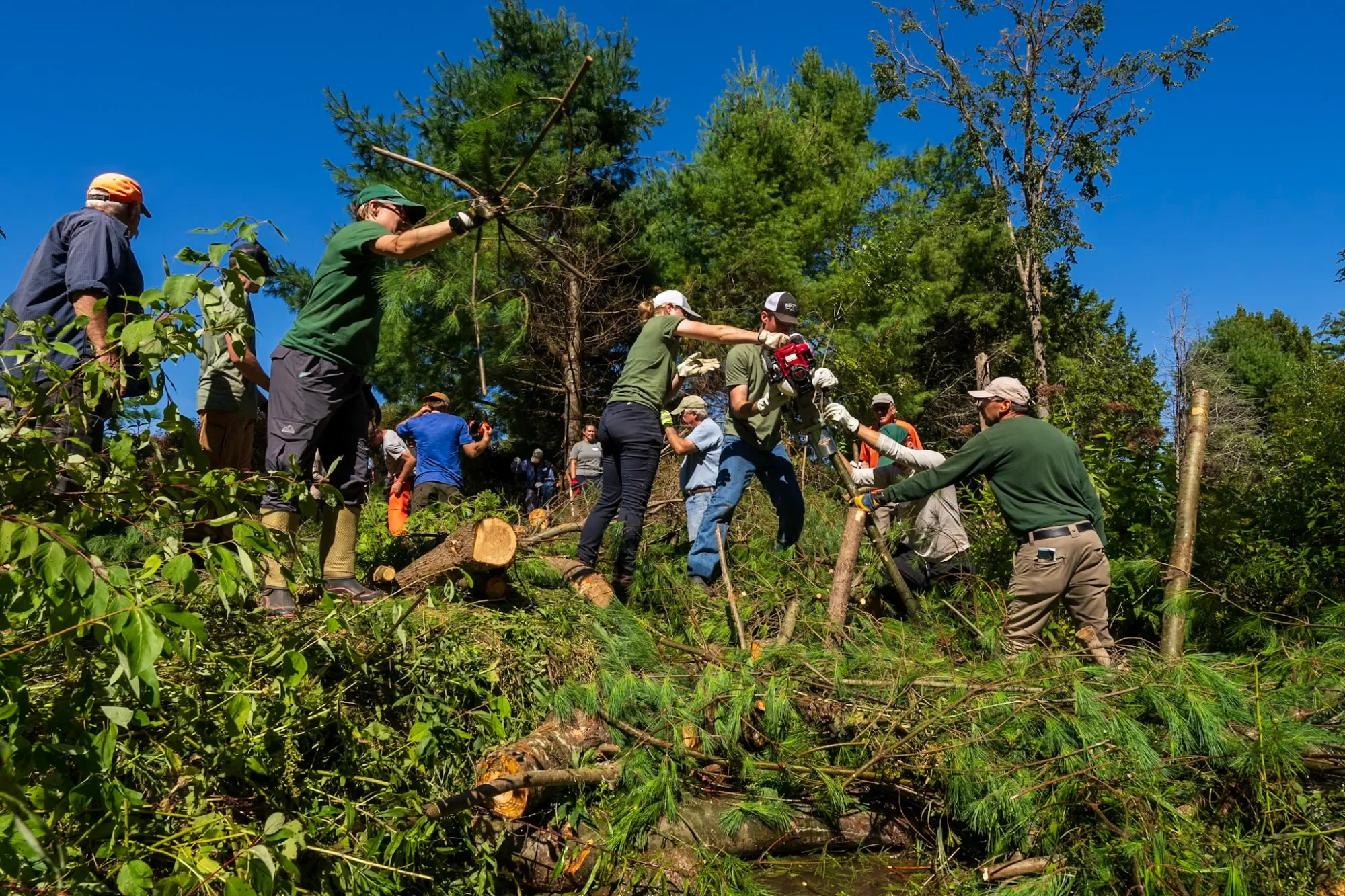 Copying beavers to restore a river