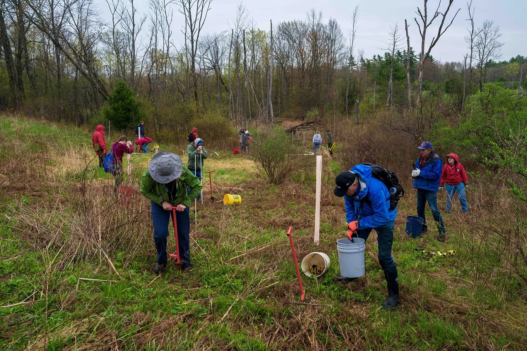 Native trees take root in Boquet River restoration