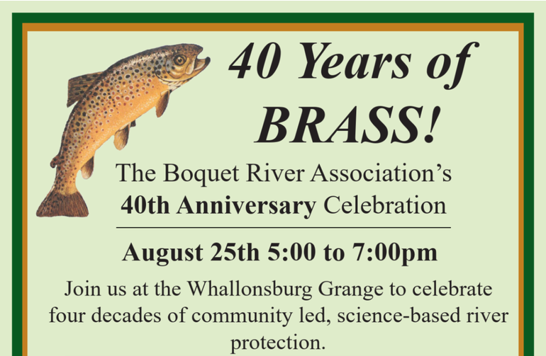 BRASS turns 40!