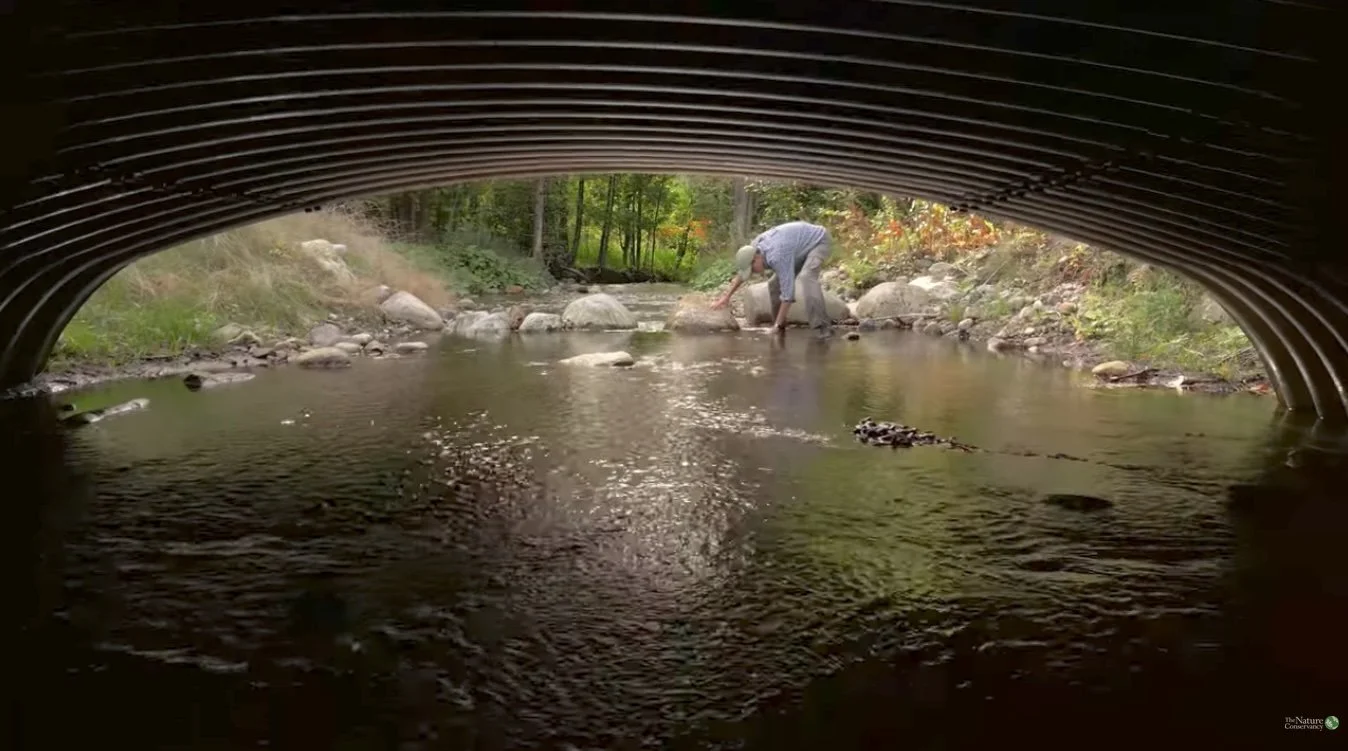 Reconnecting Rivers 
