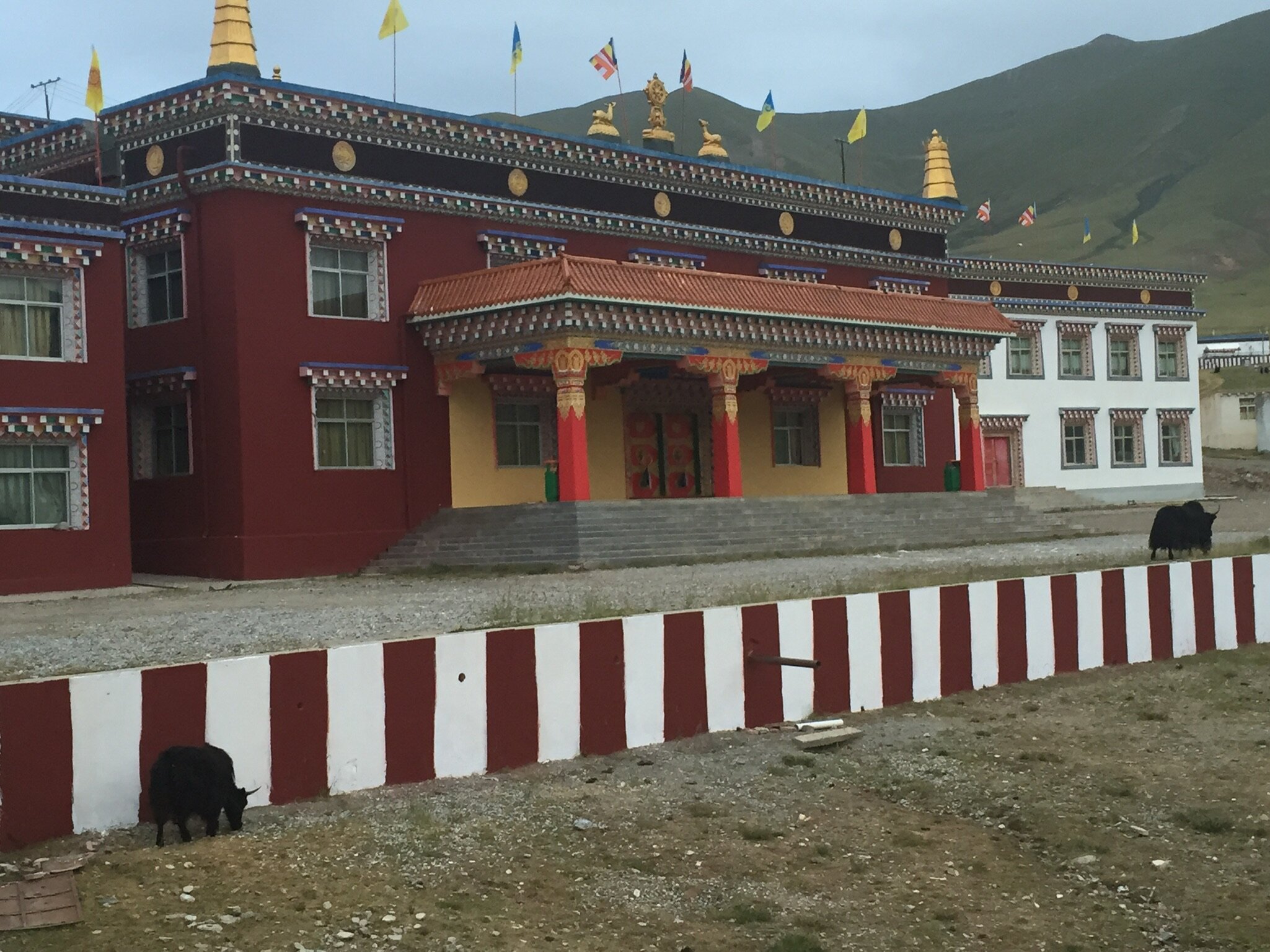  Princess Wengchen Nunnery, Tibet 