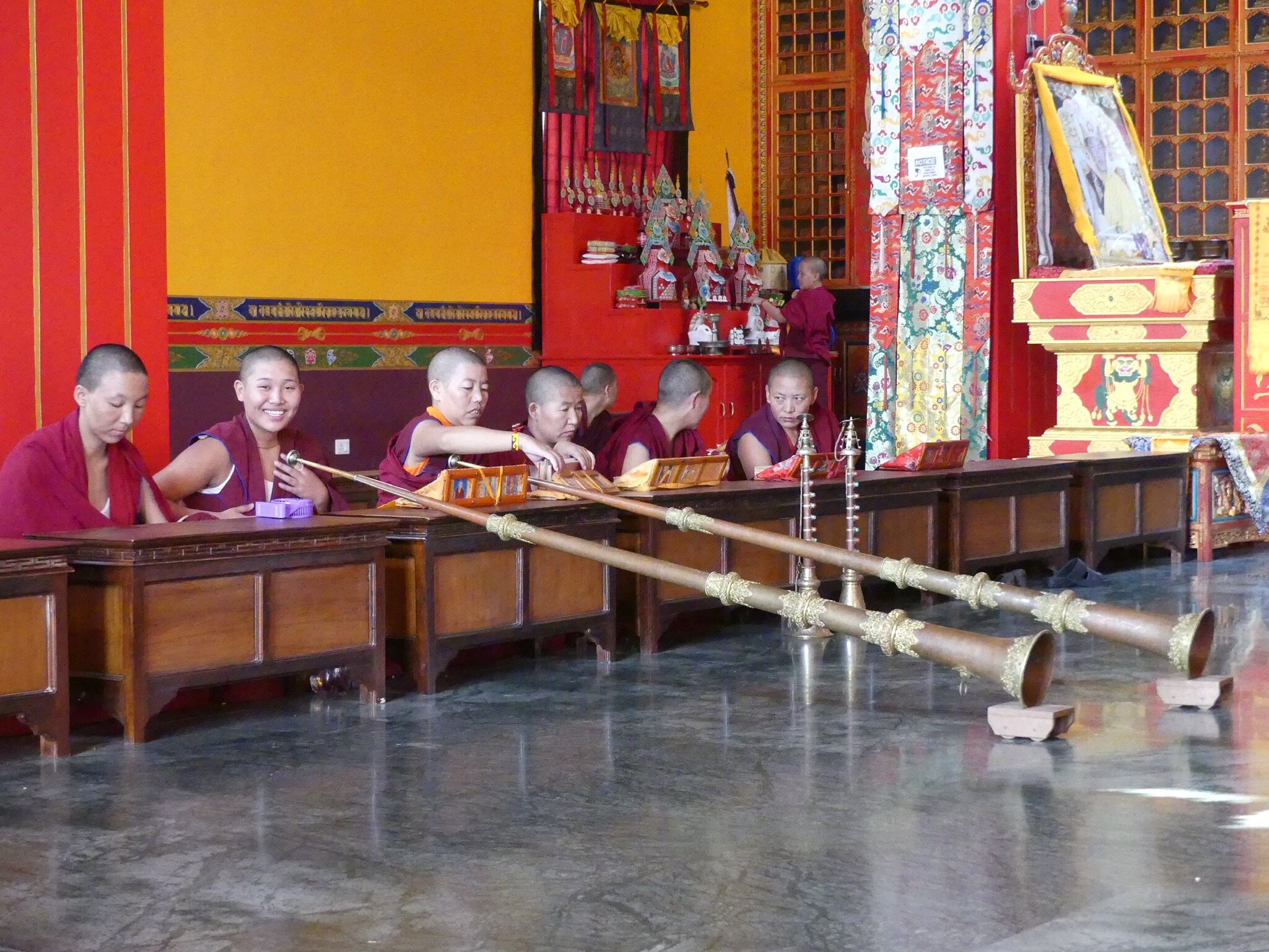  Shedra nuns at Lumbini Monastery 