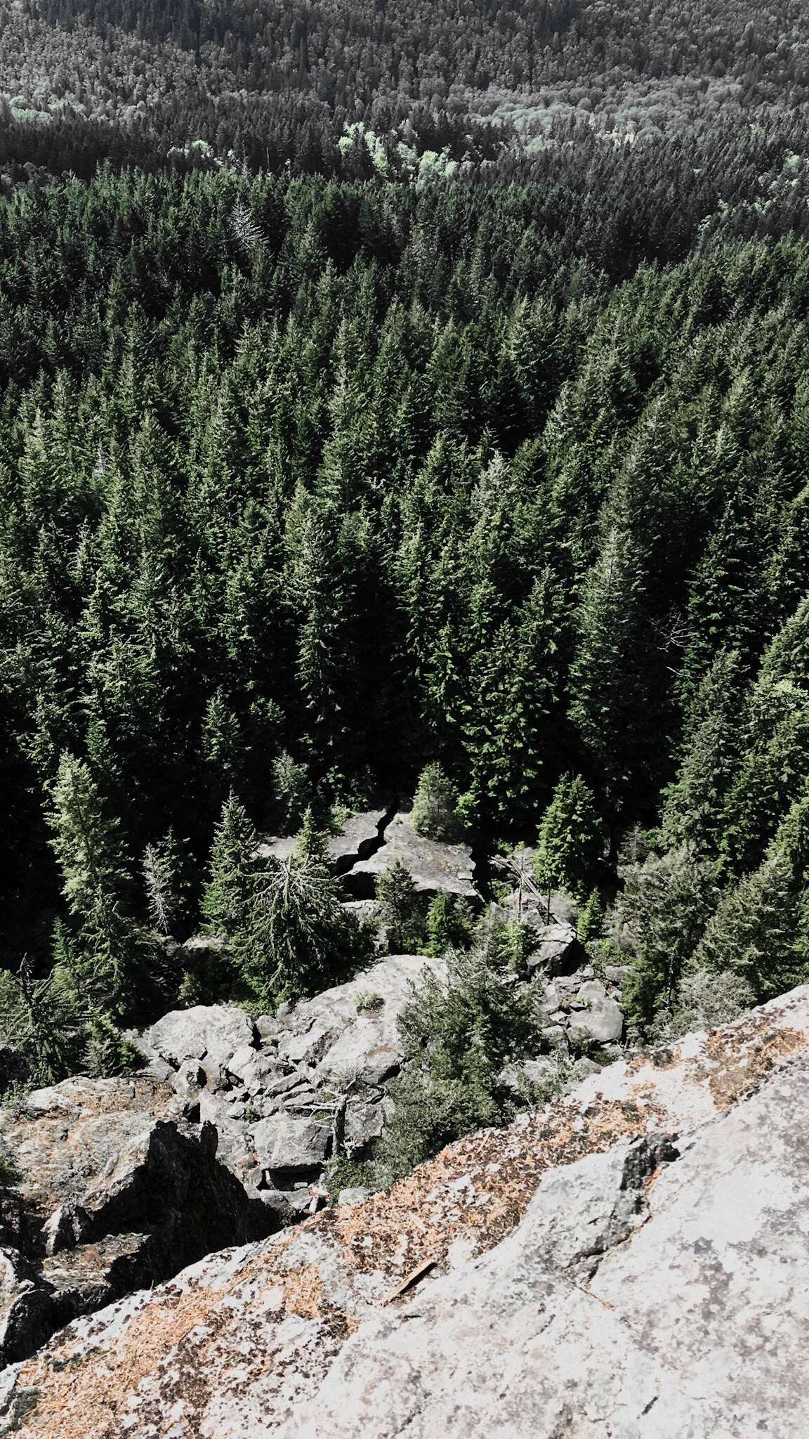 What We Love About The Oyster Dome Hike In The PNW!