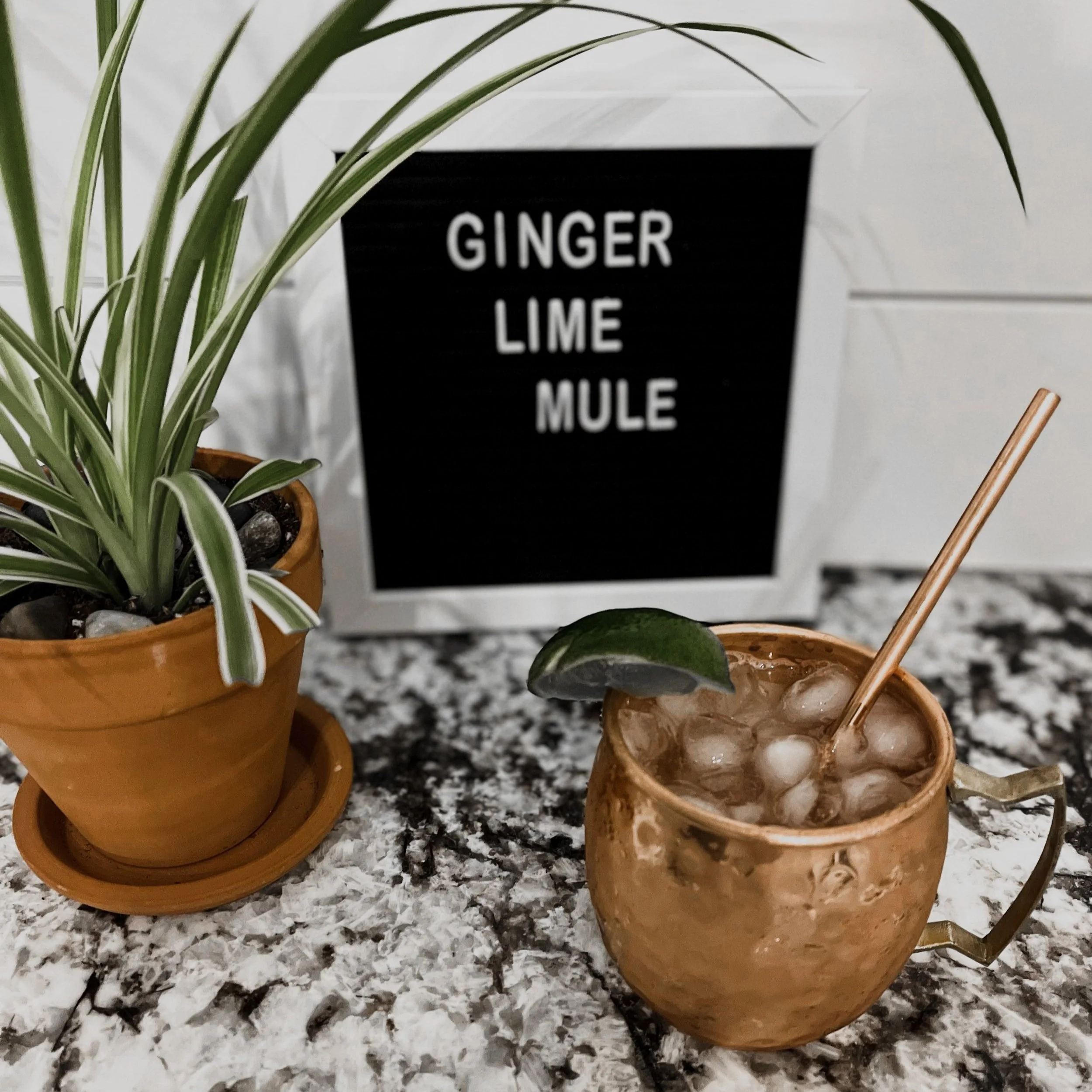 Ginger Lime Mule Mocktail
