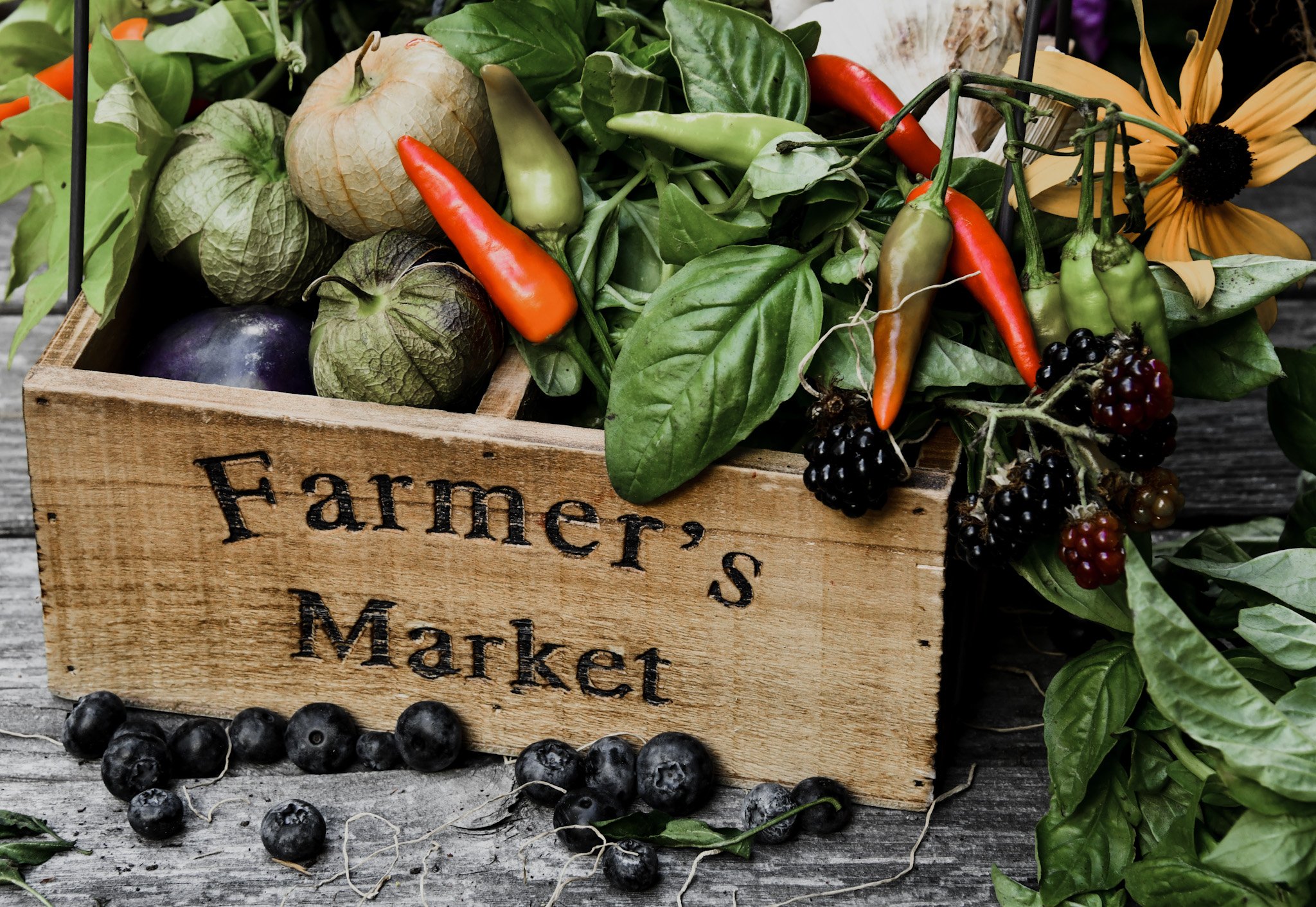 Let's Go To A Farmer's Market!