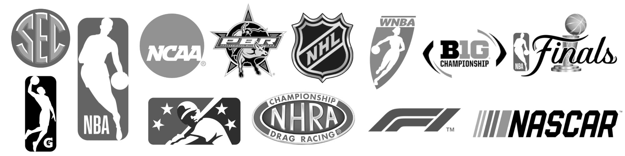 List of sports entertainment logos that Grace Good has performed for
