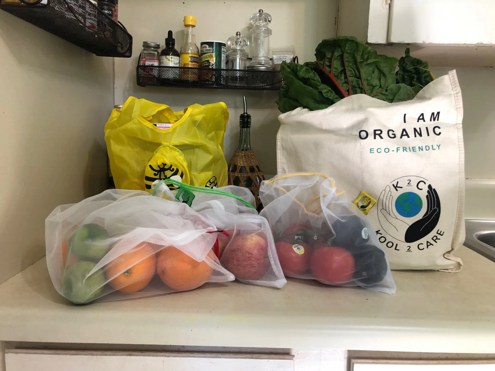 Eco Reusable Shopper kit.jpg
