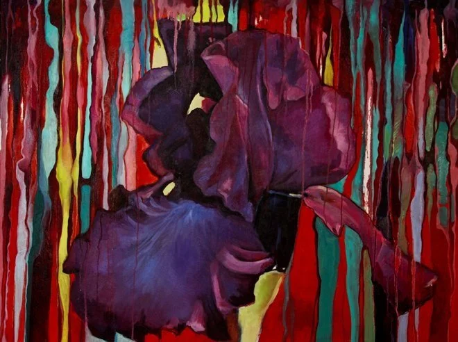 Iris