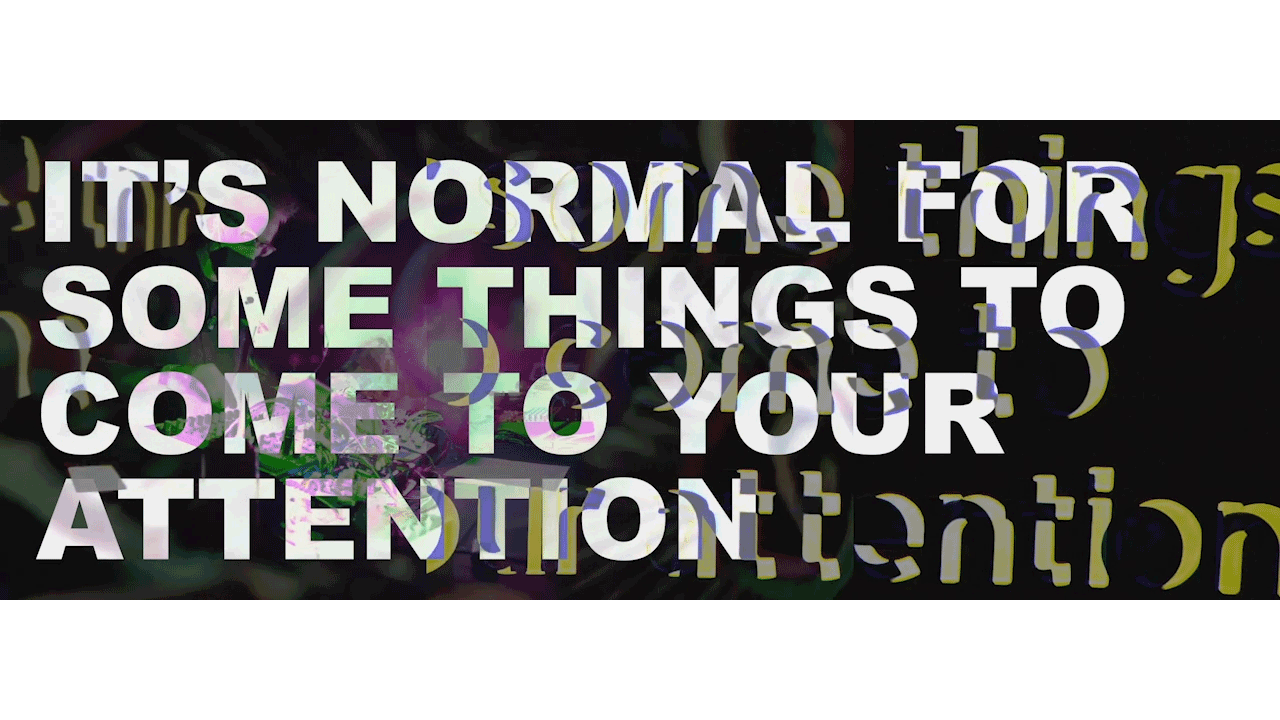 itsnormal-wide.gif