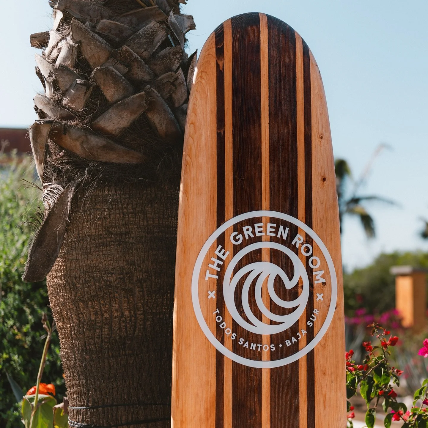 Where meals turn into memories 🫶
.
.
#thegreenroom #villasantacruz #todossantosrestaurants #bajacaliforniasur #todossantos