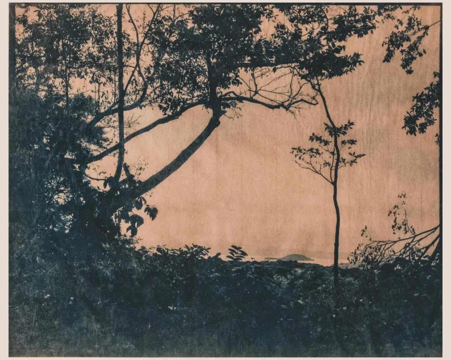 *

&ldquo;Real communication with the Earth is the highest form of prayer.

When we look deeply, we see that we are not separate from the Earth and her many manifestations.

The trees, the mountains, the rivers, the animals, and the air are all us.
W