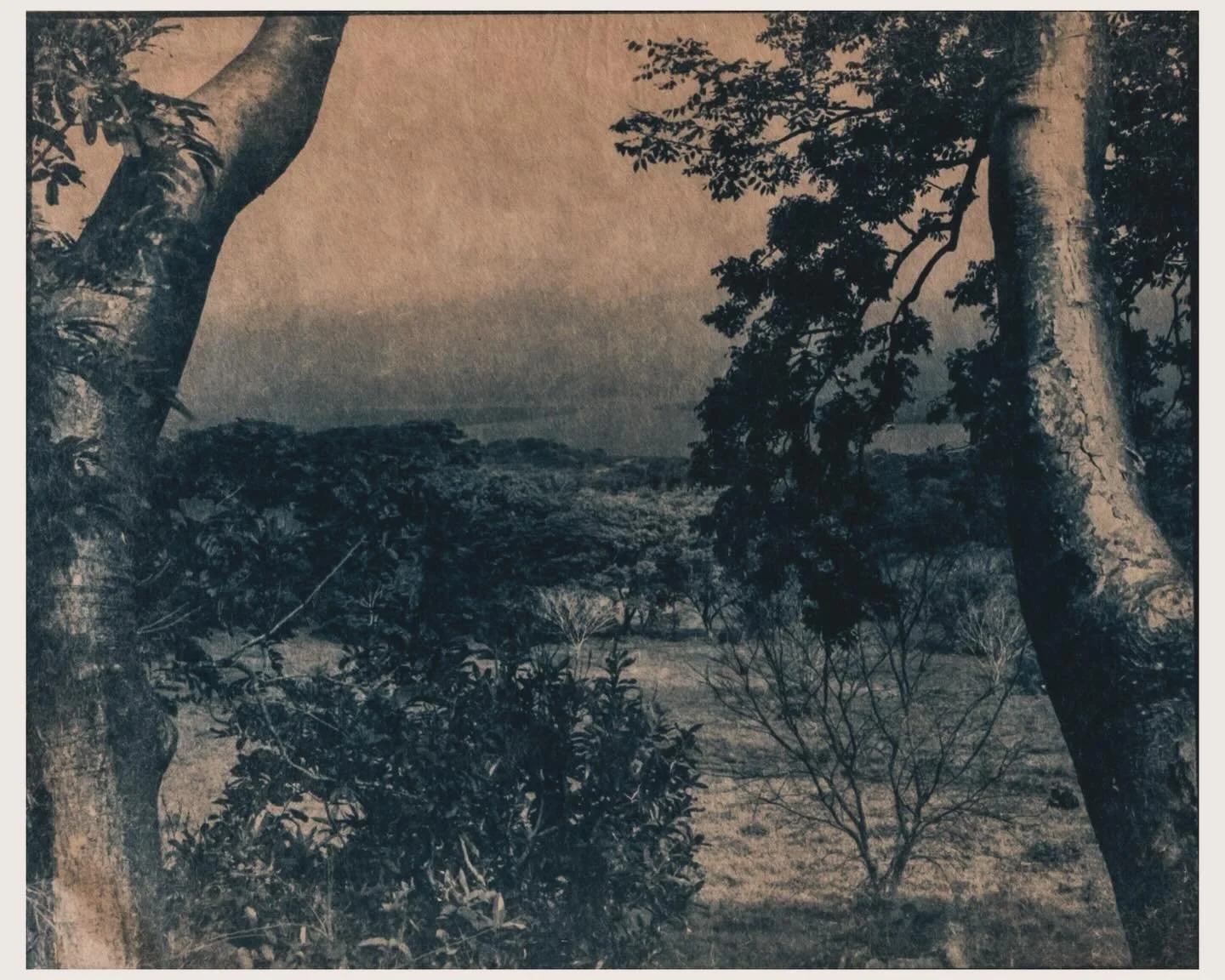 *

&ldquo;Alertness is the hidden discipline of familiarity.&rdquo; &mdash; David Whyte

Somewhere between stillness and breath, the wilderness reminds me how to listen again.
No spectacle, no urgency. Just the quiet insistence of being alive and roo