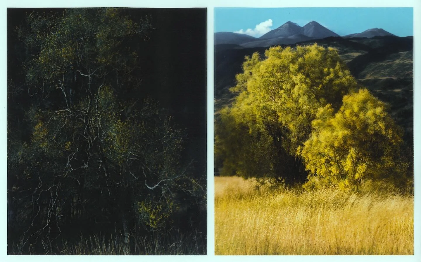 // 
ＥＴＮＡ ＢＲＯＯＭ
Light a Box
11 x 8 in
2023