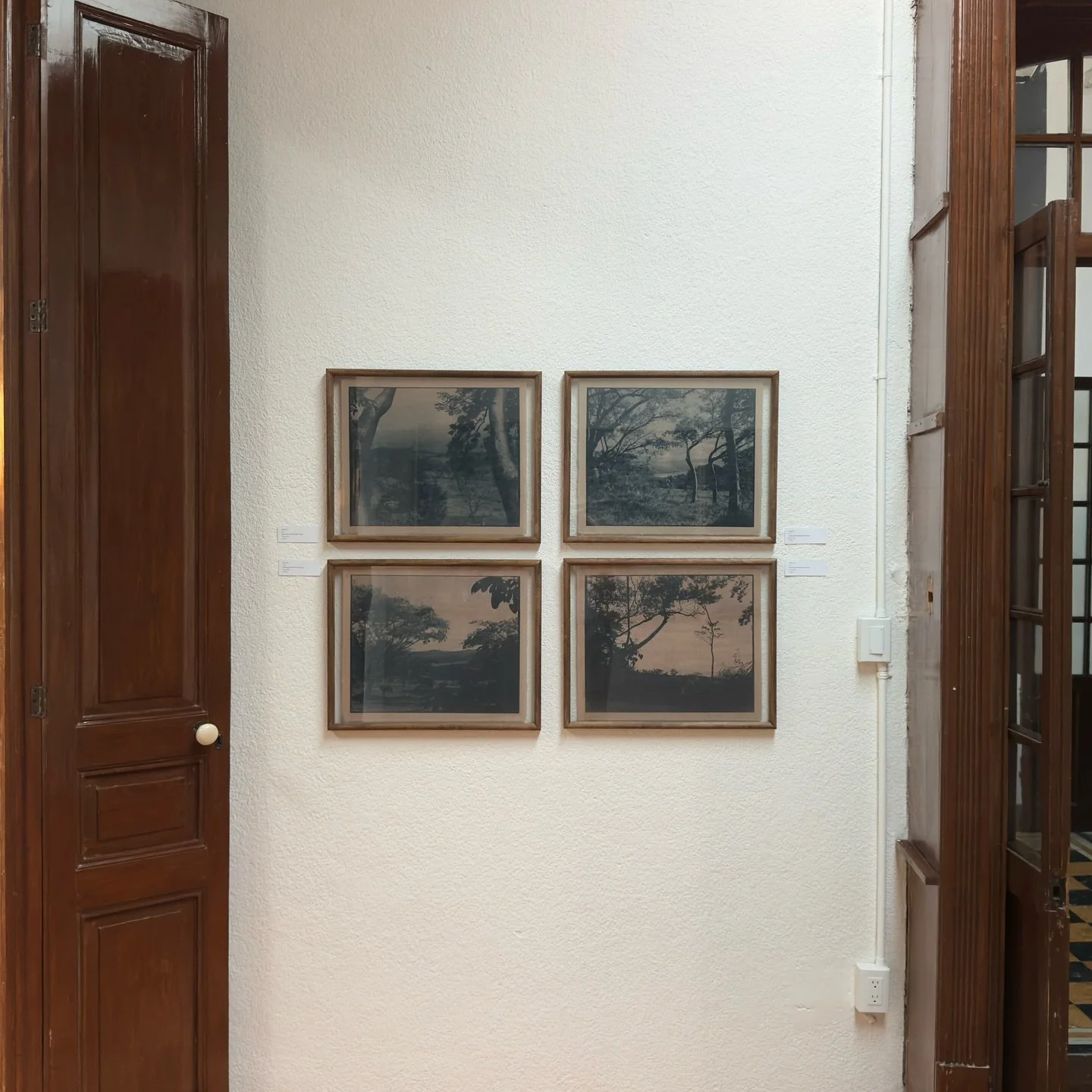 //
ECHOE #1 #2 #3 #4
2025
Cyanotype on Mexican Kozo Paper
50x40 cm each (unframed)