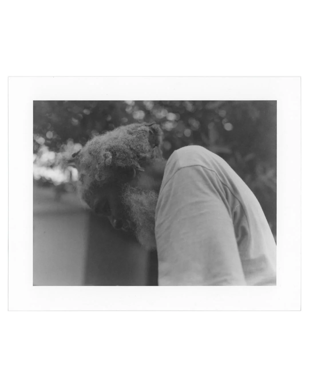 Between 2017 and 2019, Nassau became my home. A period that asked me to slow down, simplify, and look inward.

When I returned in 2022, I felt ready to look outward again. I wasn&rsquo;t drawn to beaches or postcards. My intuition led me to the cente