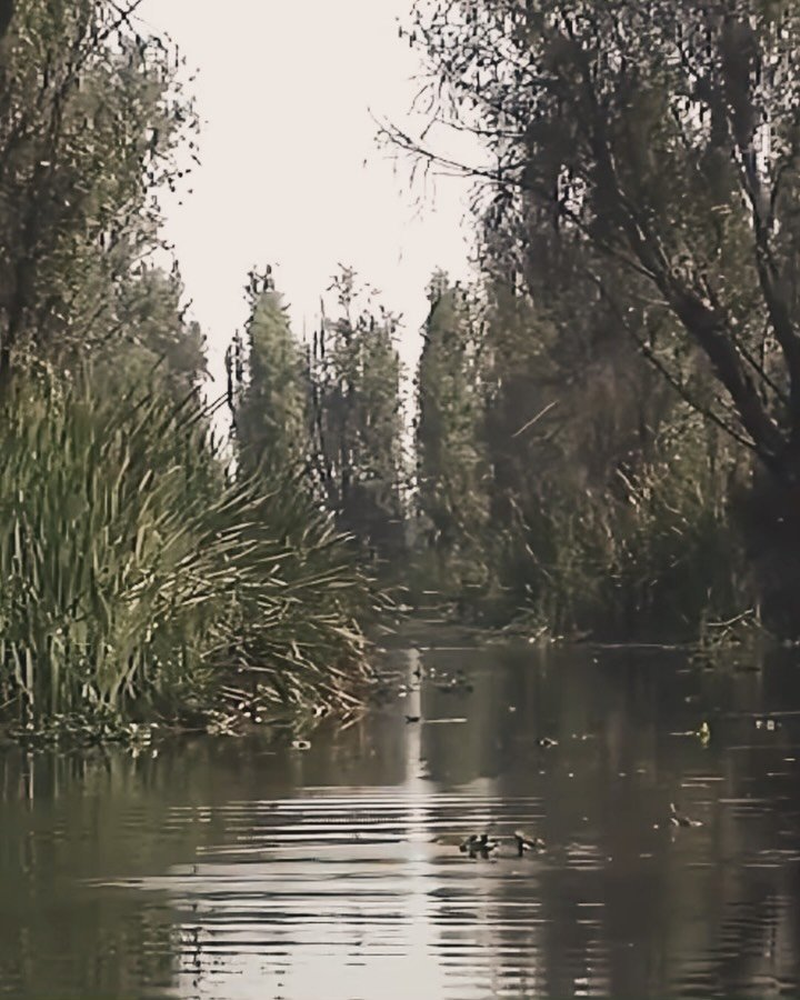 CAPITOLO ZERO

An offering of a place
to stand,
to feel,
to reflect.

Thank you Fer @fuegovivo.mx 
for hosting and believing.

Thank you @diavolucci_panyc 
for the constant support.

Thanks to all of you &mdash;
near and far &mdash;
for the love and 