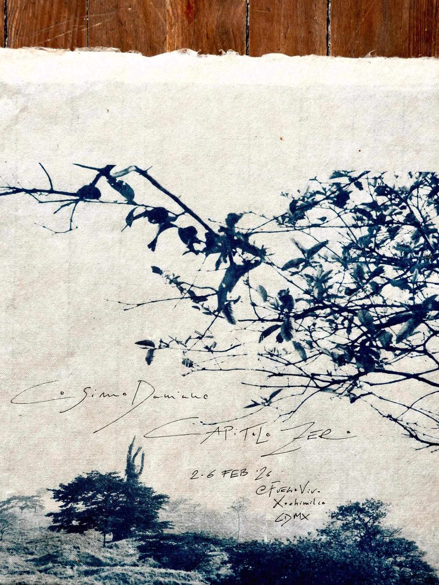 CAPITOLO ZERO - My first solo exhibition of photography in Mexico. Open till Friday 6th February 

@fuegovivo.mx 
Xochimilco 
Mexico City