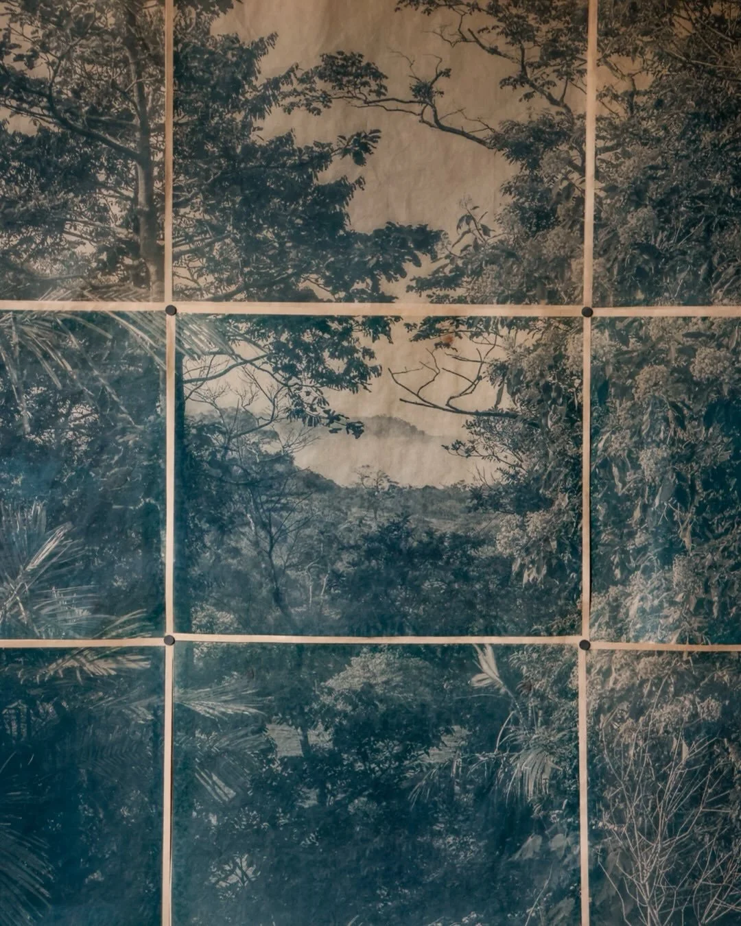 ECHOES XI , 2026

Cyanotype on Mexican Kozo 
mounted on Oxidised Steel 

167 x 138 cm