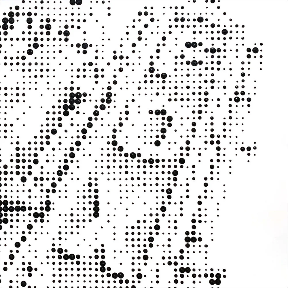 fox BW zoom.jpg