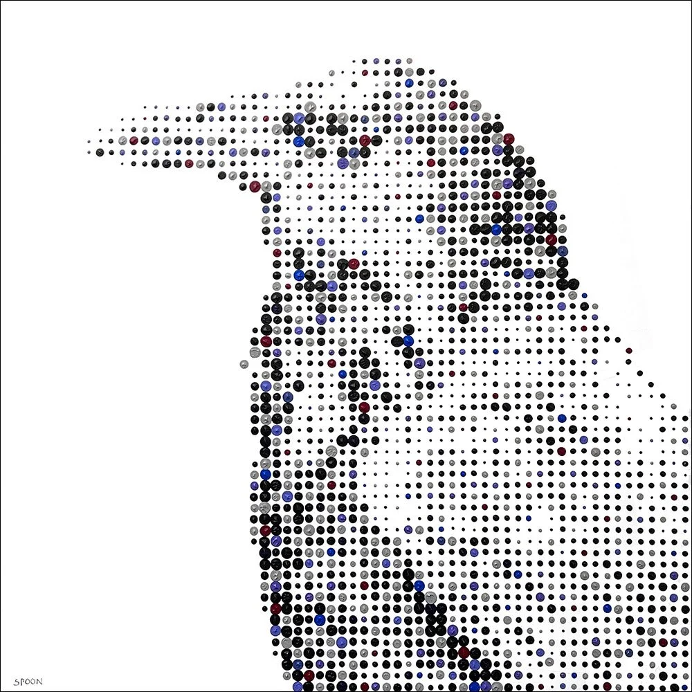 1q Have We Met Crow.jpg