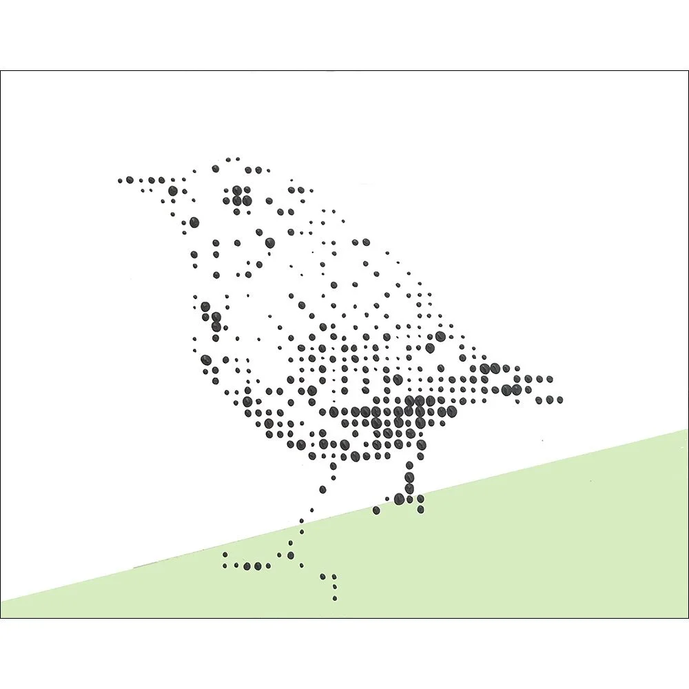 2a It Has a Song Bird.jpg