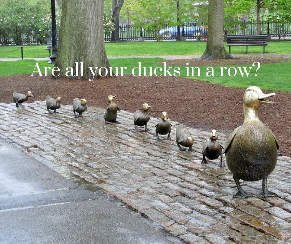 Are all your ducks in a row?.jpg