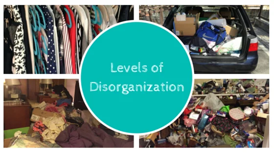 levels of disorganization.jpg