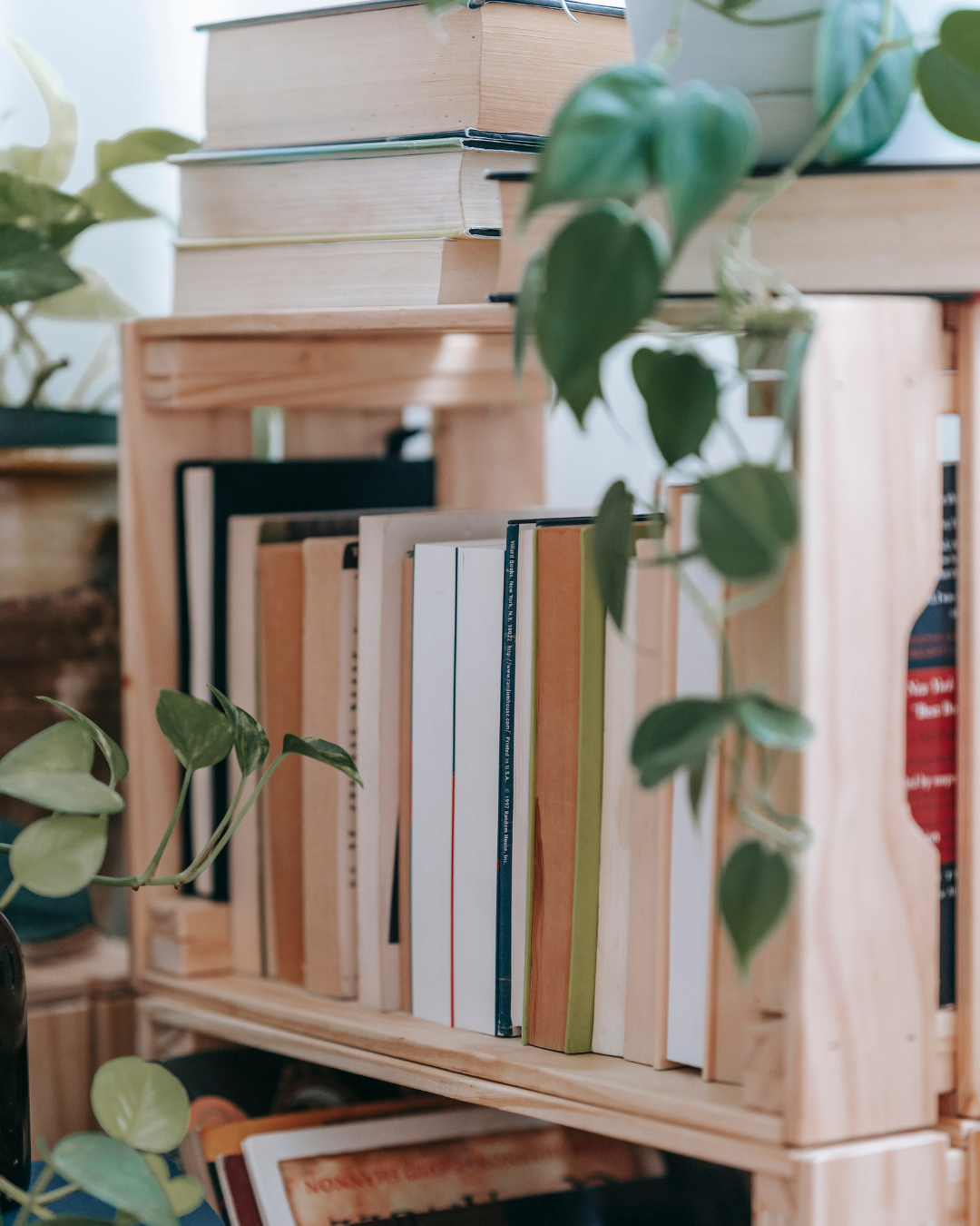 How to Organize (and Style!) Your Books