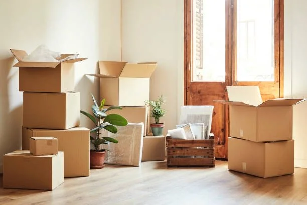 How to Unpack the Organized Way