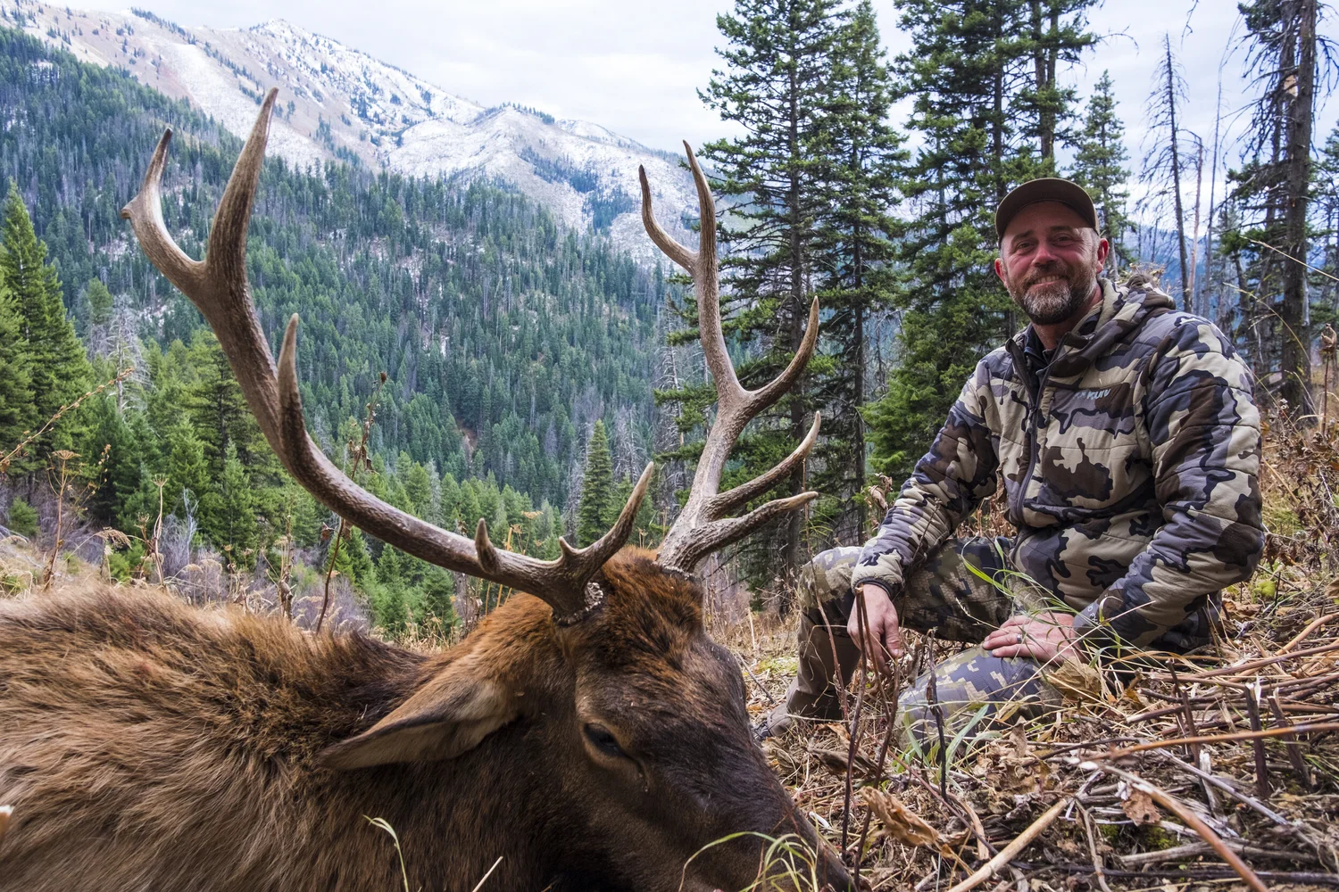 WILDERNESS MULE OUTFITTING Elk & Mule Deer Hunting