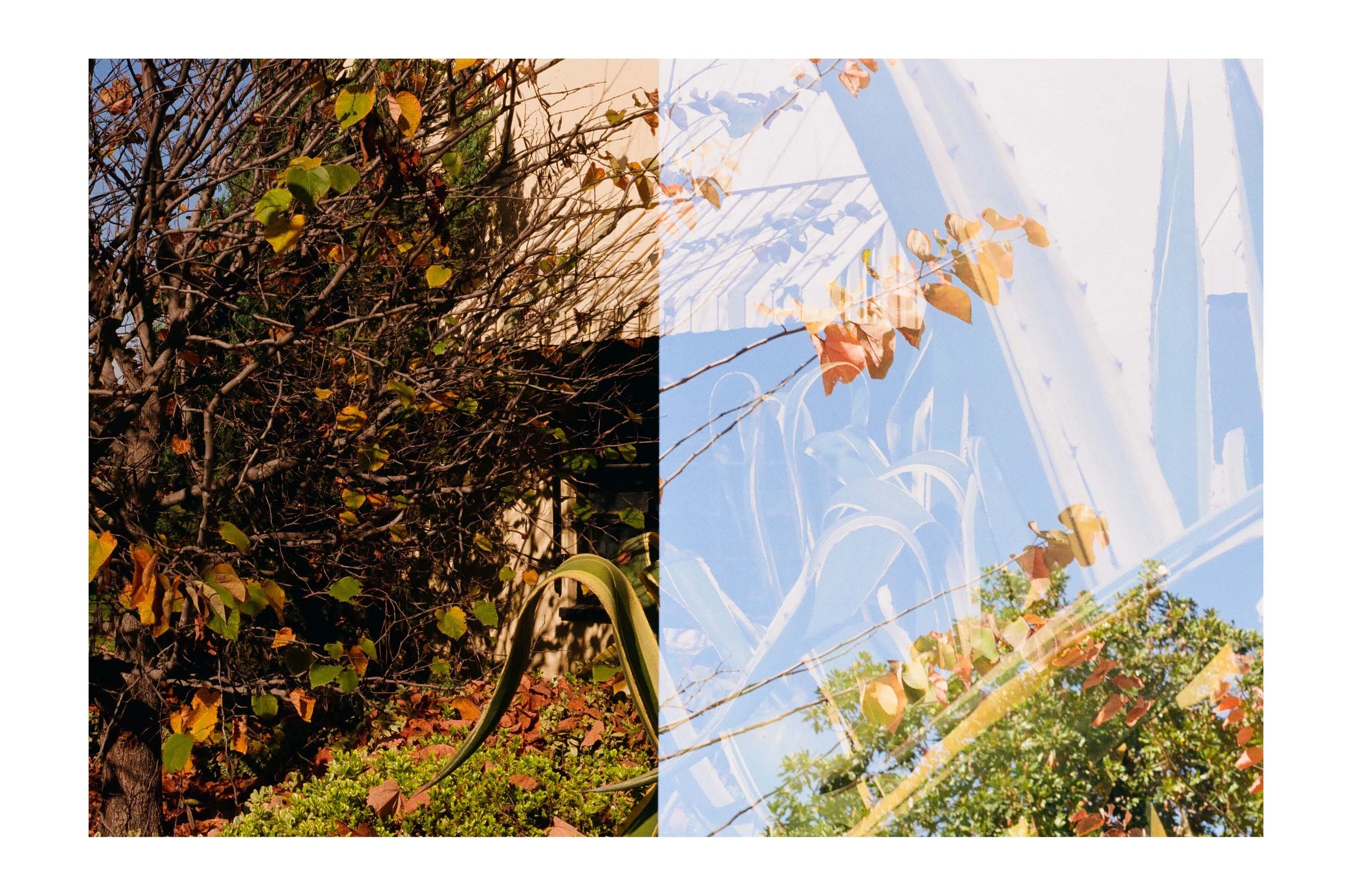 Double Frames 1 insta copy.jpg