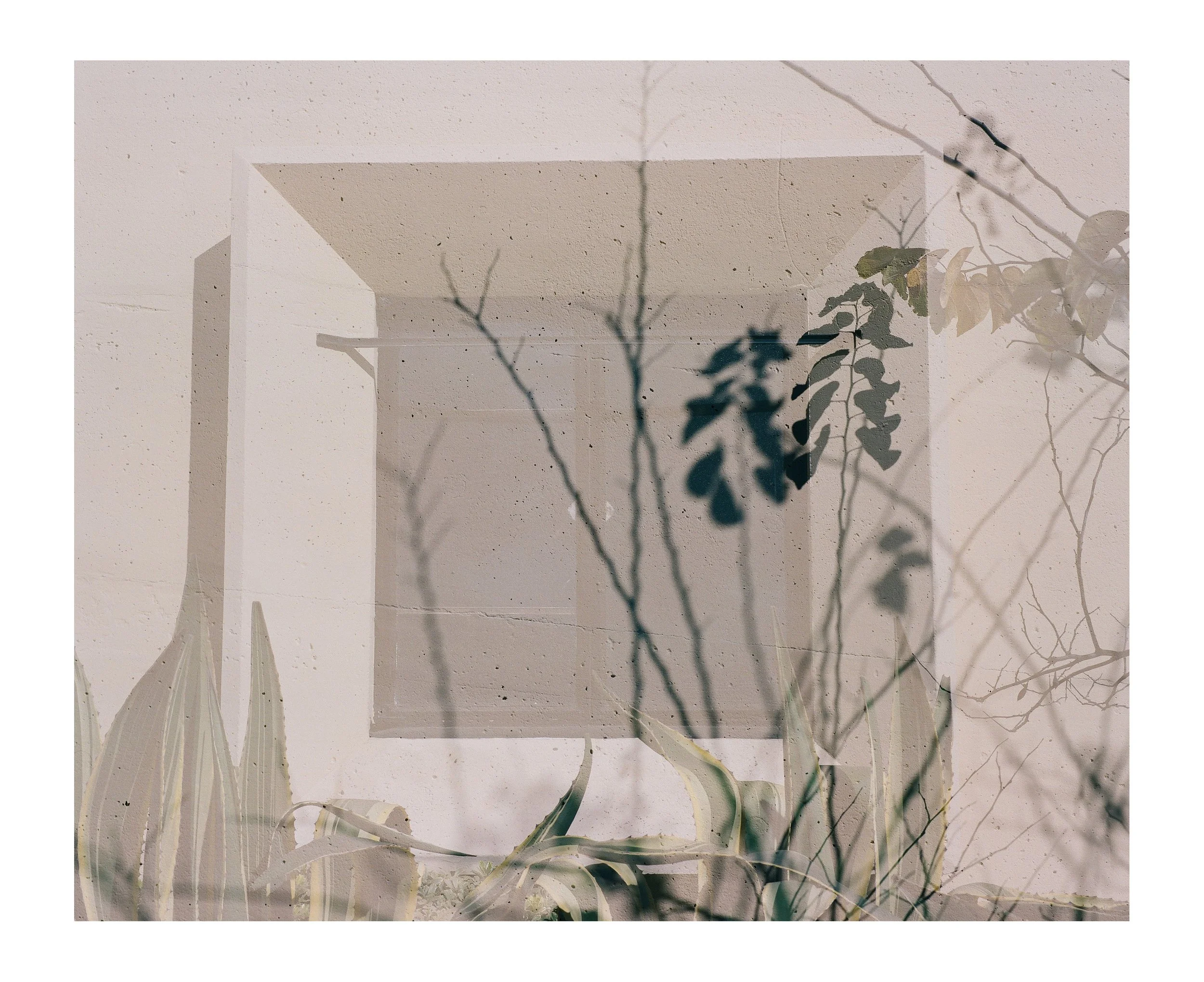 Double Frames 5 insta copy.jpg