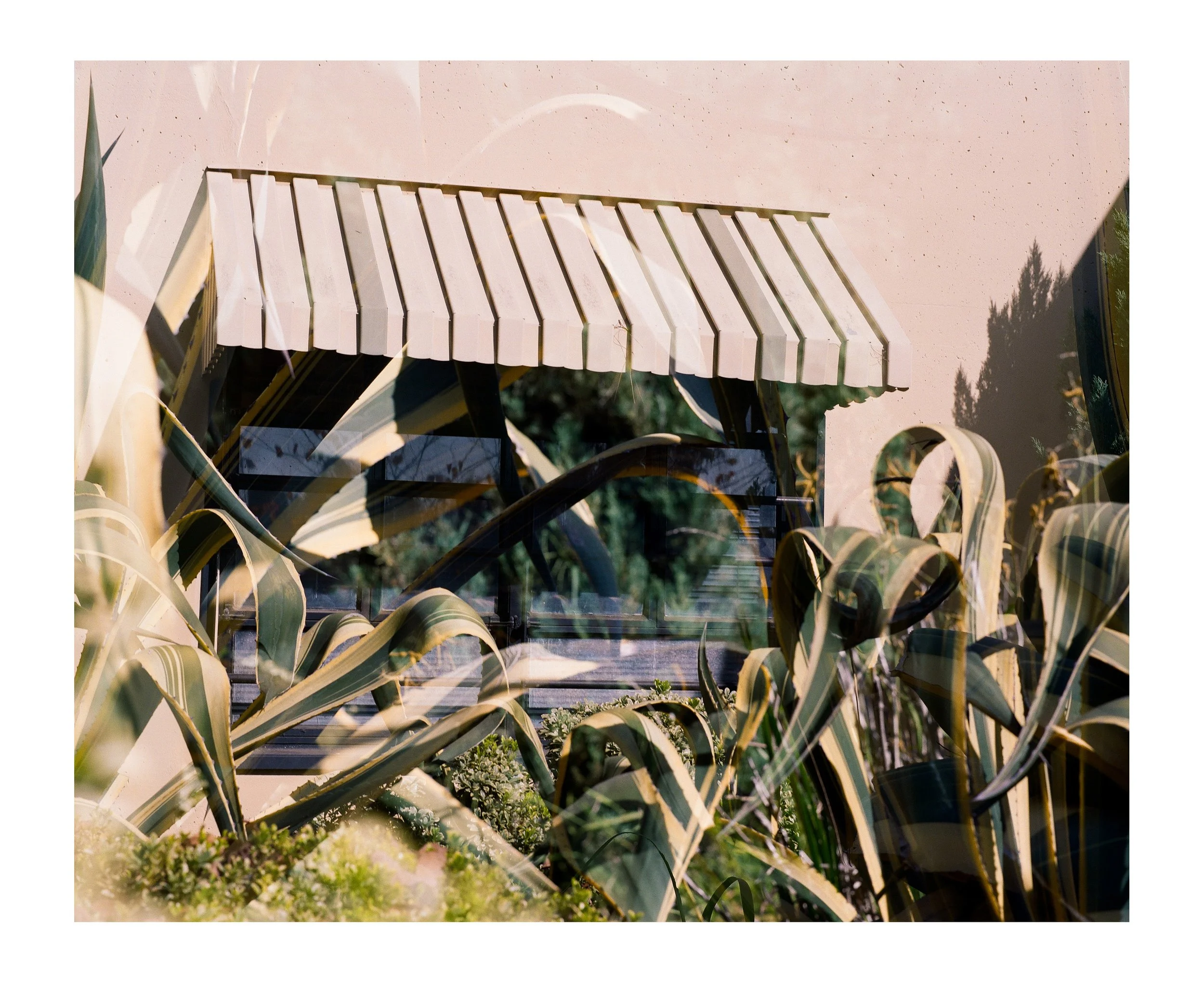 Double Frames 6 insta copy.jpg