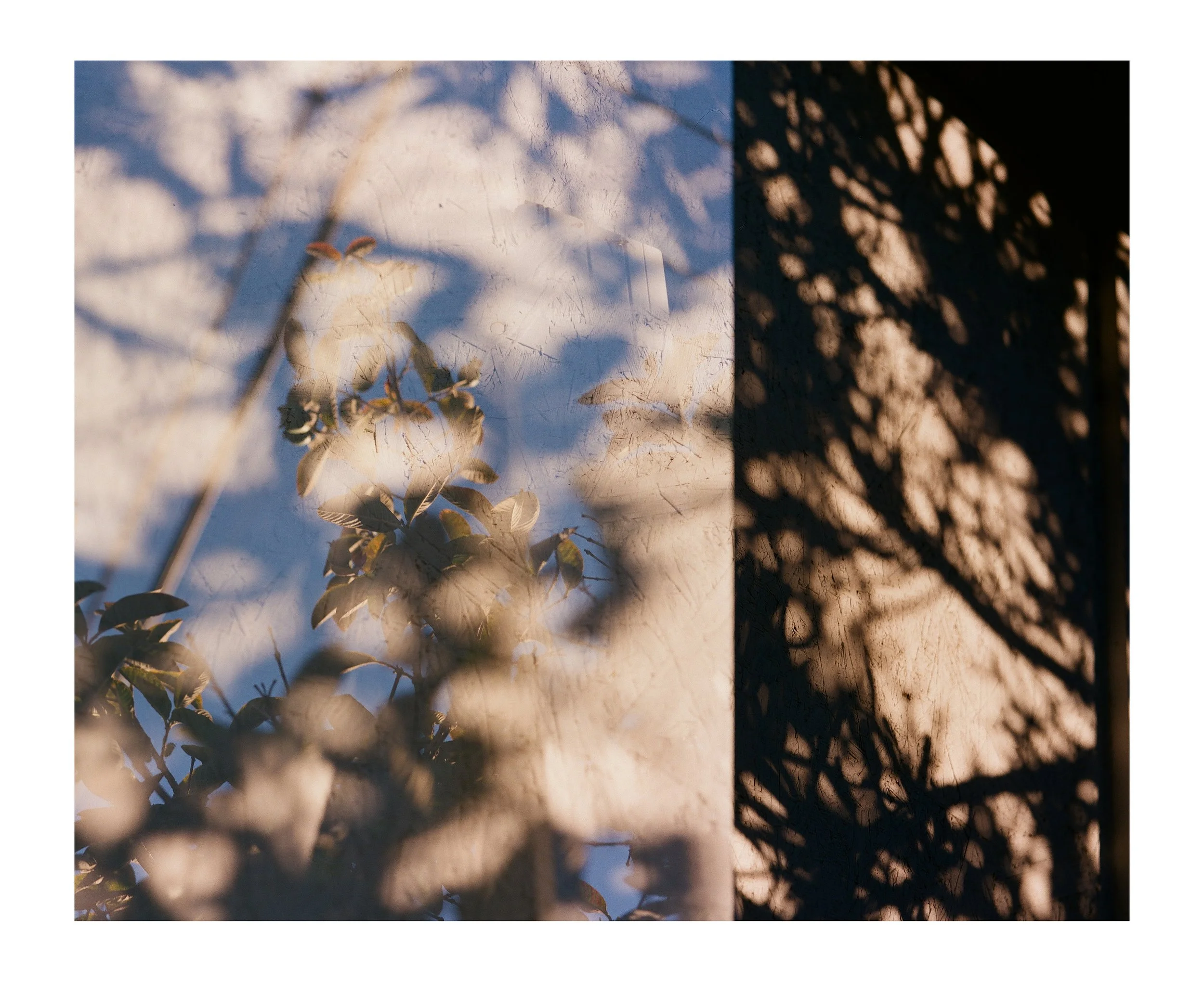 Double Frames 10 insta copy.jpg