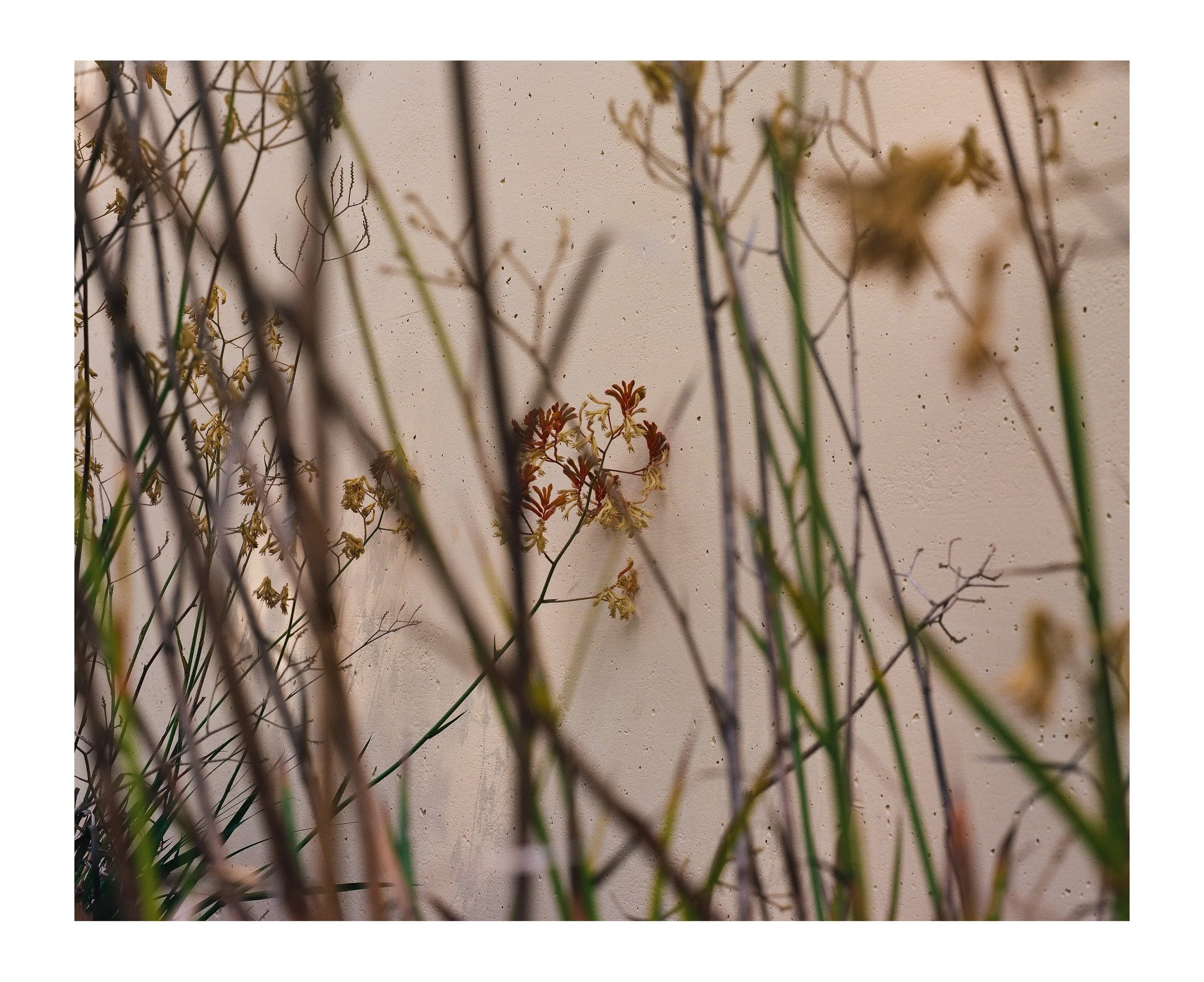 Double Frames 12 insta copy.jpg