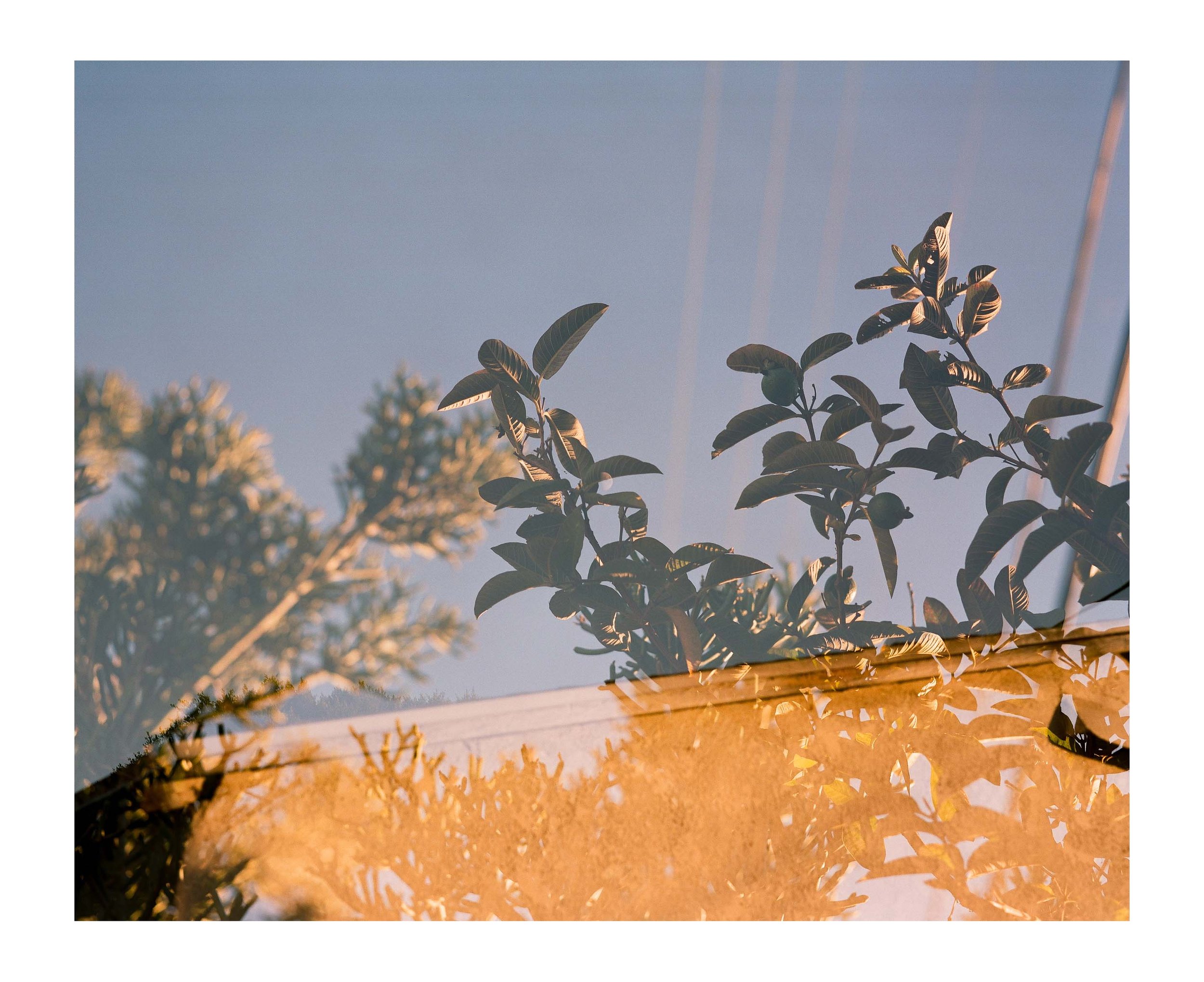 Double Frames 15 insta copy.jpg